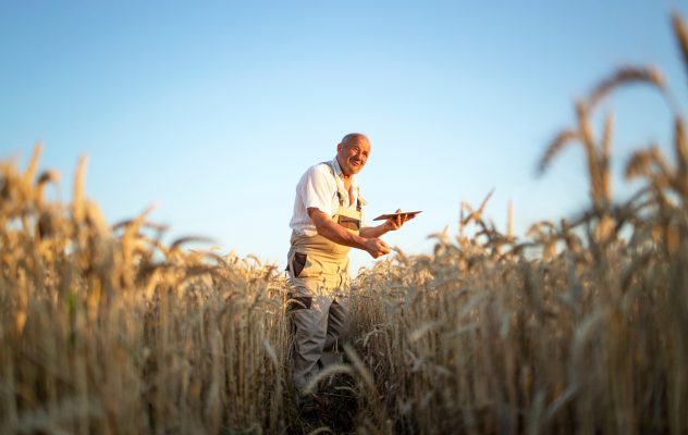 Image for Magazine Artile: "How connectivity accessibility can deliver digital empowerment"